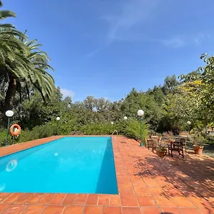 https://casa-rural-en-medio-del-bosque-el-lance.in-canary-islands.com